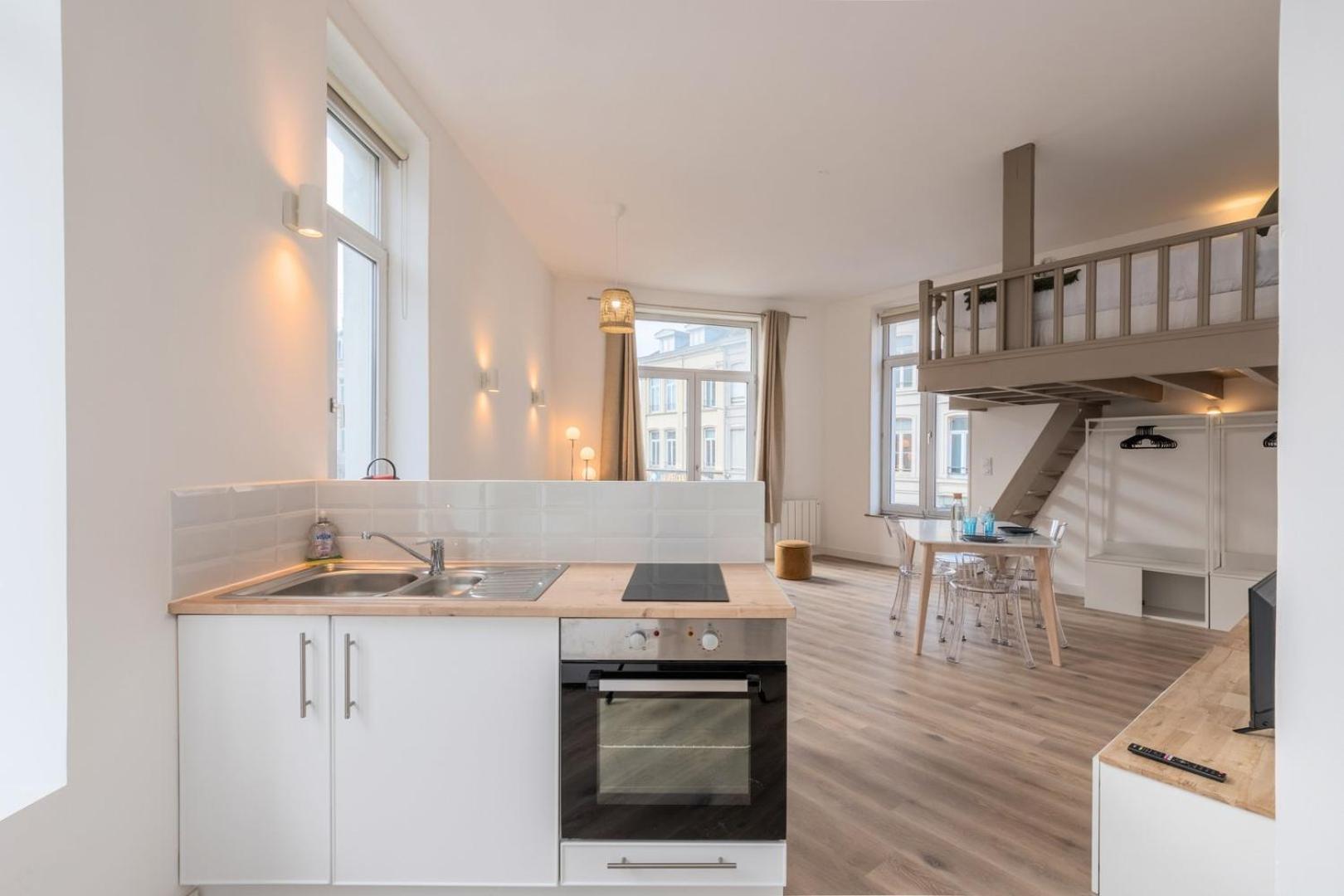 Appartement Spacious And Bright In The Center. Lille